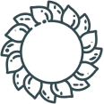 Ornamental Sunflower