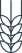 Wheat